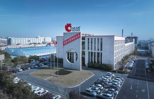 洽洽食品榮獲地區(qū)國潮代表品牌