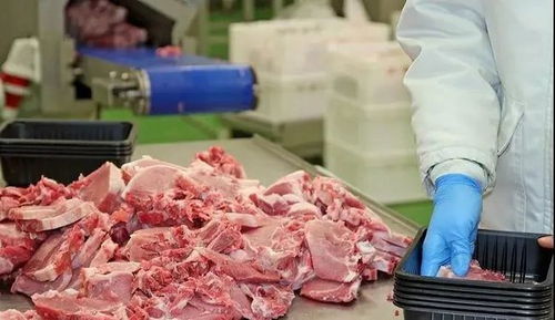 香菜網(wǎng)商城邀請全省食品精深加工企業(yè)共謀發(fā)展