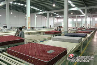 余霆 專業(yè) 才能讓品牌活的更長久