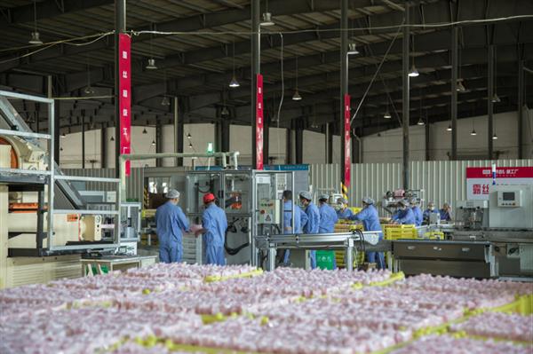 抖音電商“遇見好國貨”助力品牌煥新 傳統日化工廠在抖音商城完成轉型