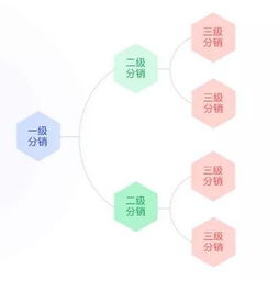 真購物商城全新版本深度揭秘 以用戶為中心的極簡設(shè)計革命